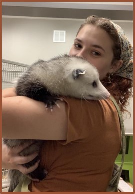 Trinity Yates holding Munch, a rescued opossum at Macon Museum of Arts & Sciences