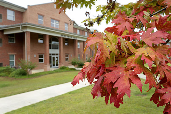 Fall leaves on the cochran campus