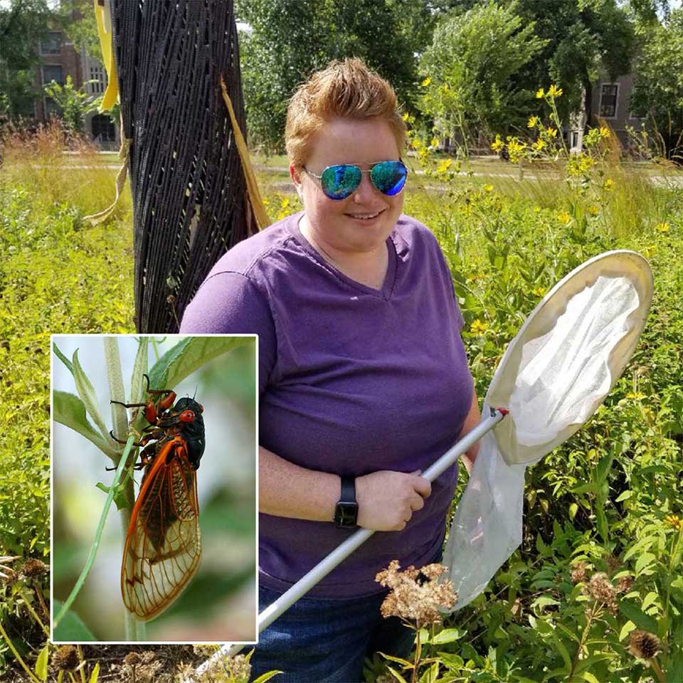 MGA Faculty Q&A With Dr. Melissa Sisson: The Buzz On “Cicada-Geddon” 